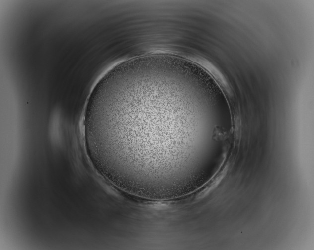 X0000099930814200805301157