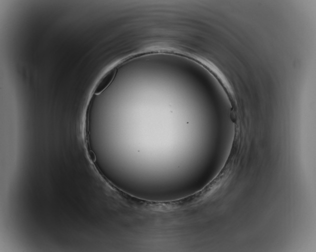 X0000099930815200805301157