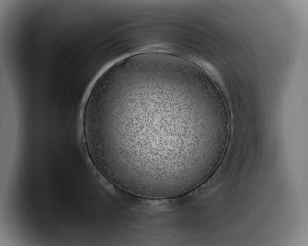 X0000099930816200805301157