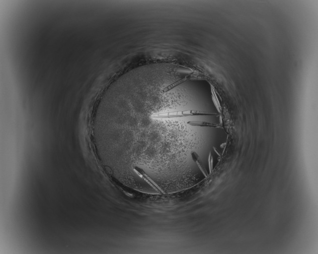 X0000099930817200805301156