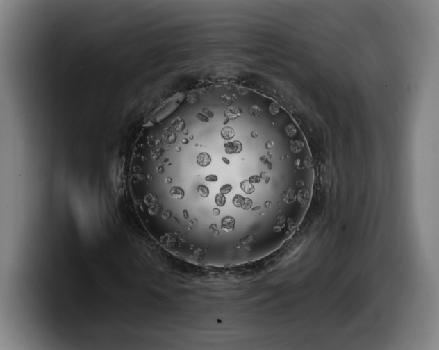 X0000099930818200805301156