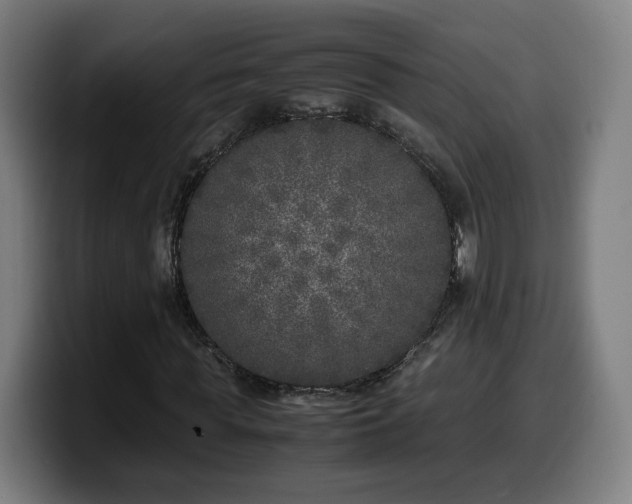 X0000099930819200805301156