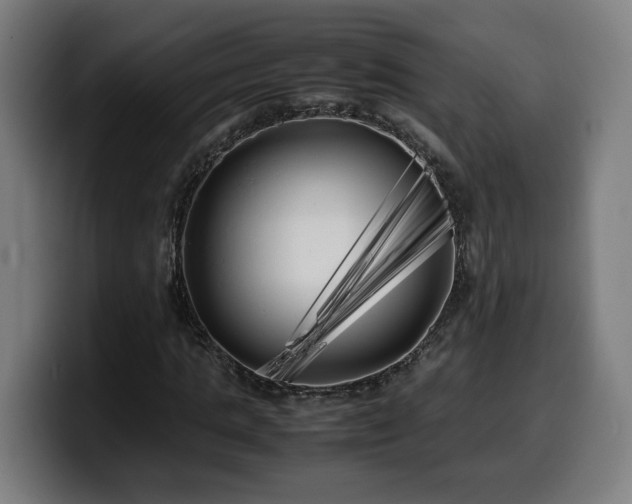 X0000099930821200805301156