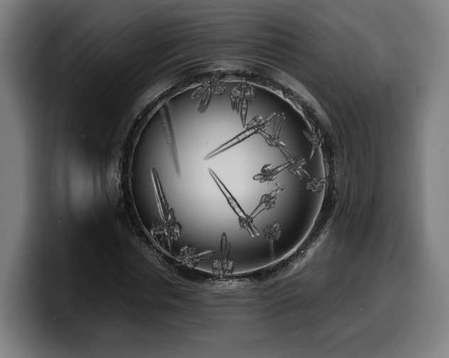 X0000099930826200805301156