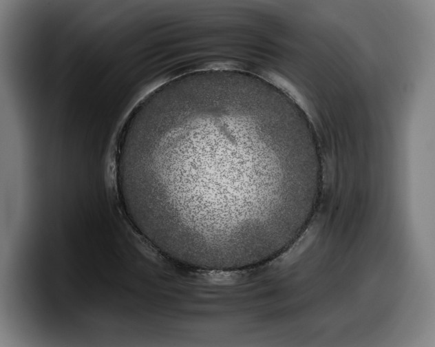 X0000099930827200805301156