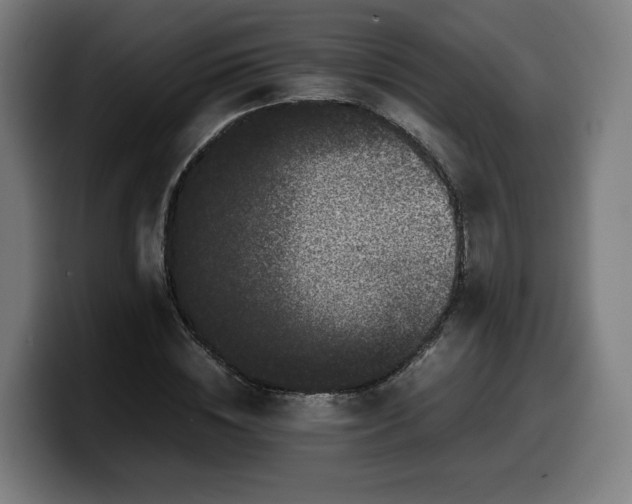 X0000099930828200805301156