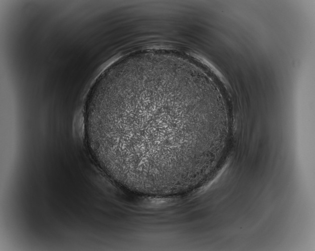 X0000099930829200805301156