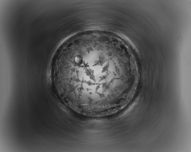 X0000099930830200805301156
