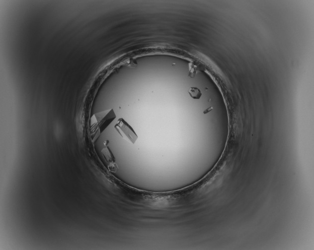 X0000099930831200805301156