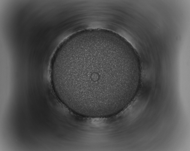 X0000099930832200805301156