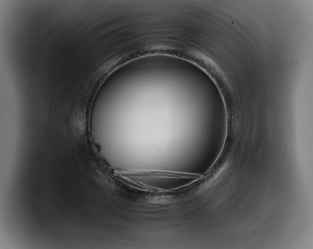 X0000099930833200805301156