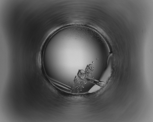 X0000099930838200805301156