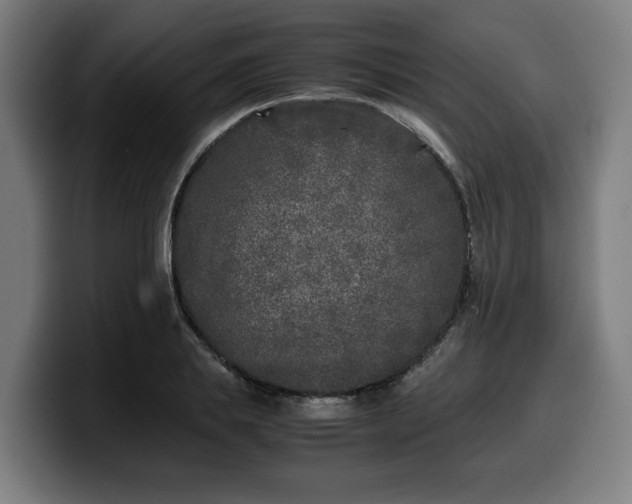 X0000099930839200805301156