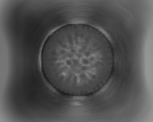 X0000099930840200805301156