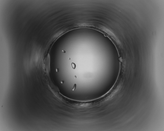 X0000099930841200805301156