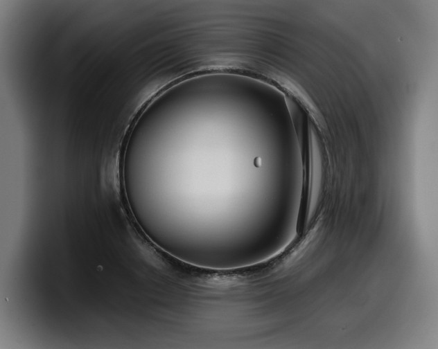 X0000099930842200805301156