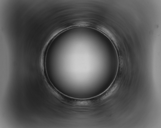 X0000099930843200805301156