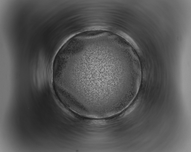 X0000099930844200805301156