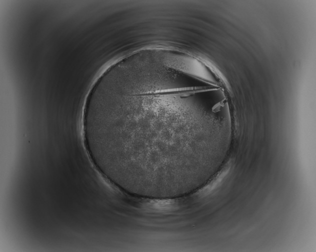 X0000099930845200805301156