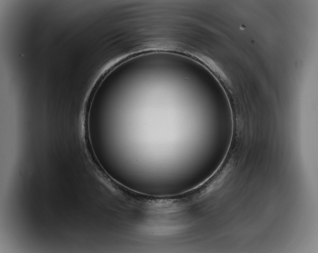 X0000099930846200805301156