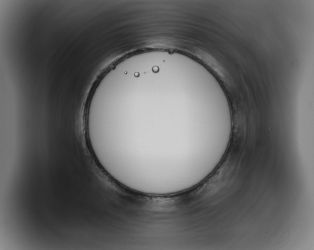 X0000099930848200805301156