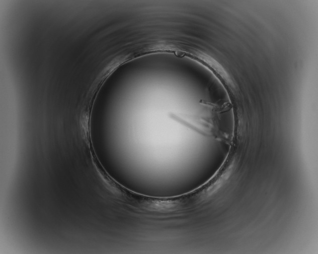 X0000099930849200805301156