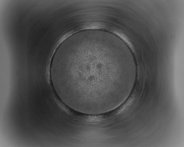 X0000099930850200805301156