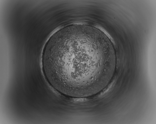 X0000099930853200805301157