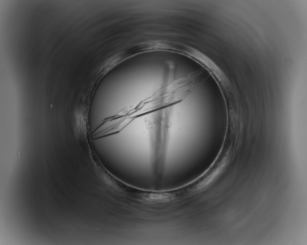 X0000099930857200805301157