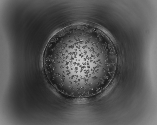 X0000099930858200805301157