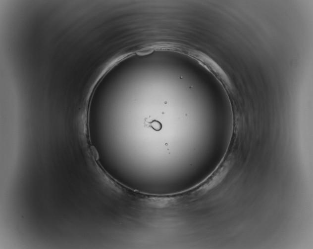 X0000099930860200805301157