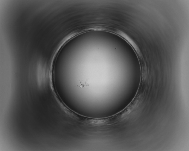 X0000099930861200805301157