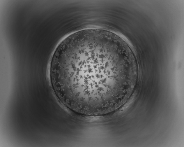 X0000099930862200805301157