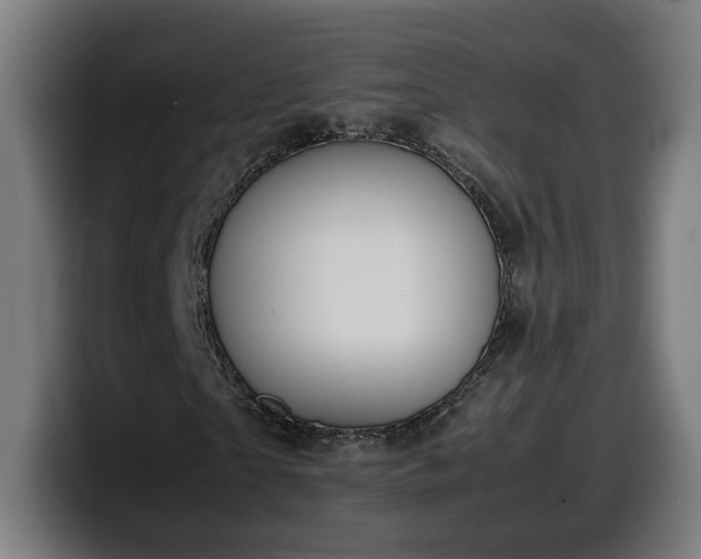 X0000099930865200805301156