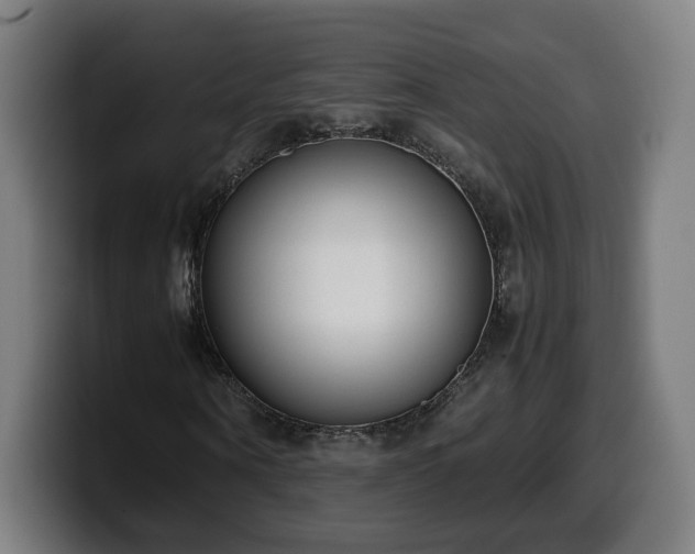 X0000099930866200805301156