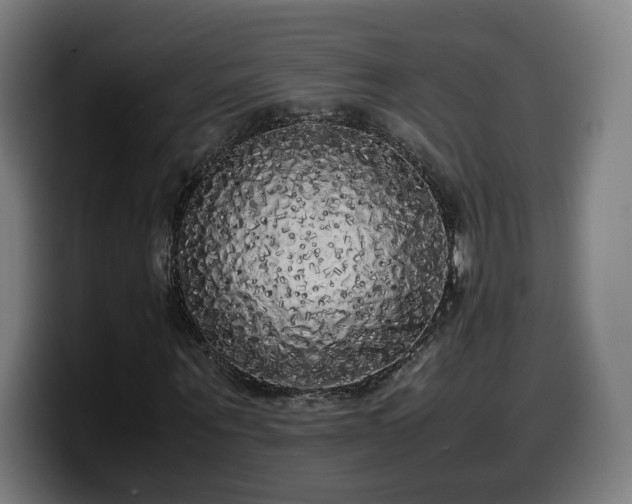 X0000099930867200805301156