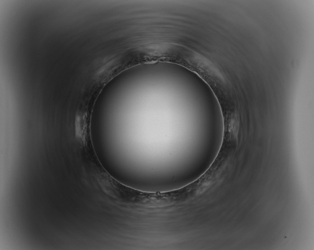 X0000099930868200805301156