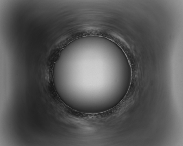 X0000099930869200805301156