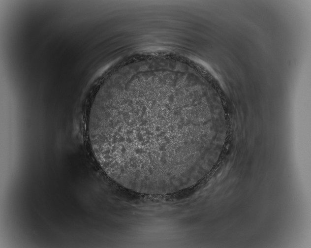 X0000099930871200805301156