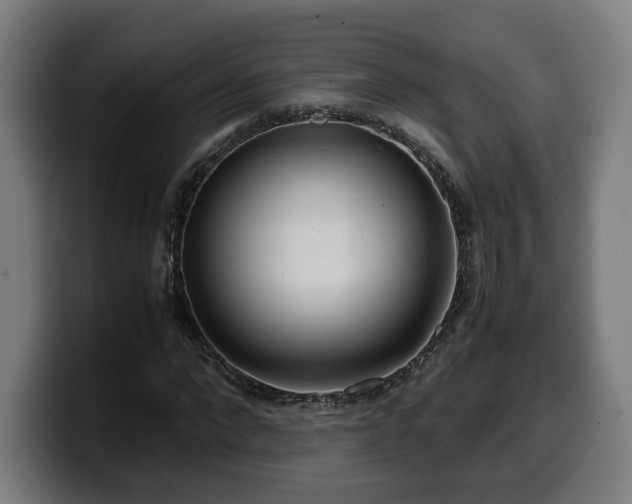 X0000099930872200805301156