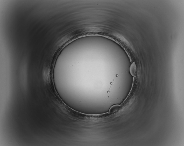 X0000099930873200805301156