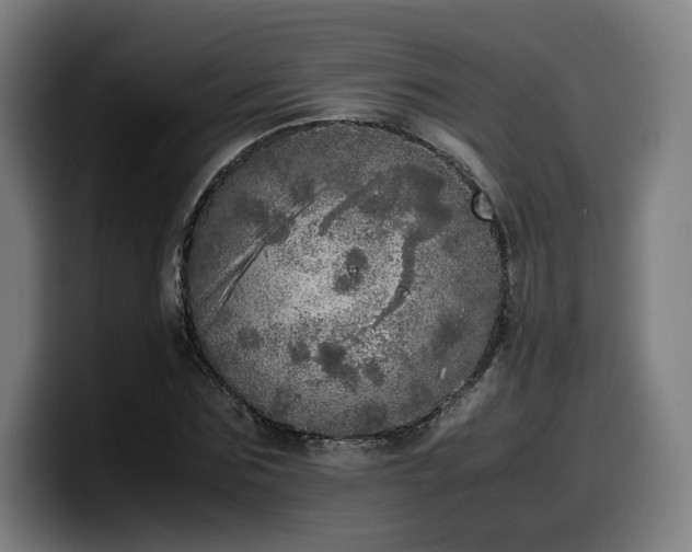 X0000099930875200805301156