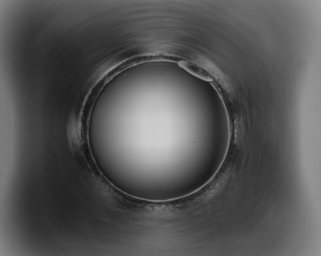 X0000099930876200805301156