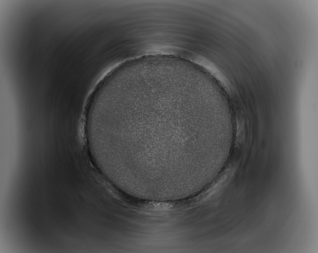 X0000099930878200805301156