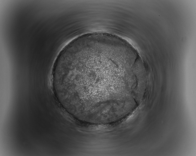 X0000099930879200805301156