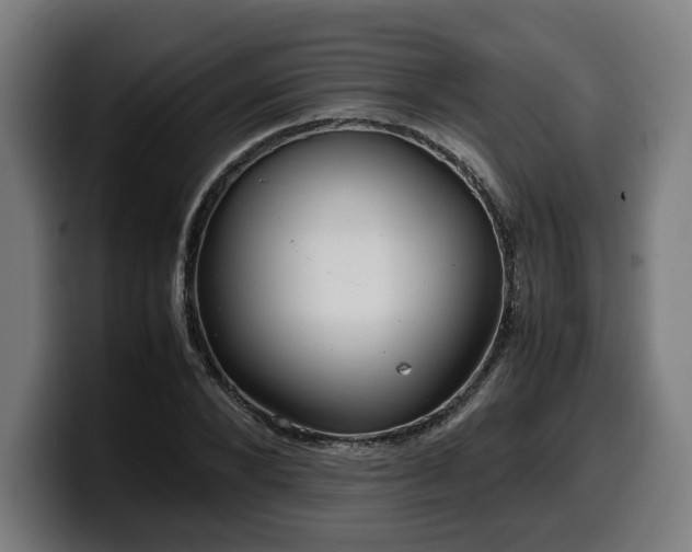 X0000099930880200805301156