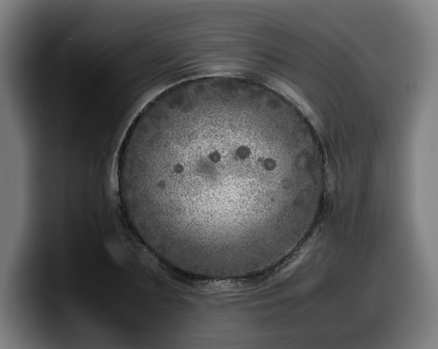 X0000099930883200805301156