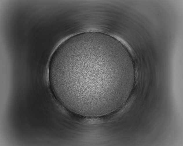 X0000099930886200805301156