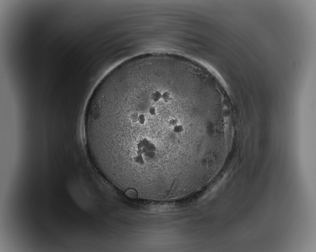 X0000099930887200805301156