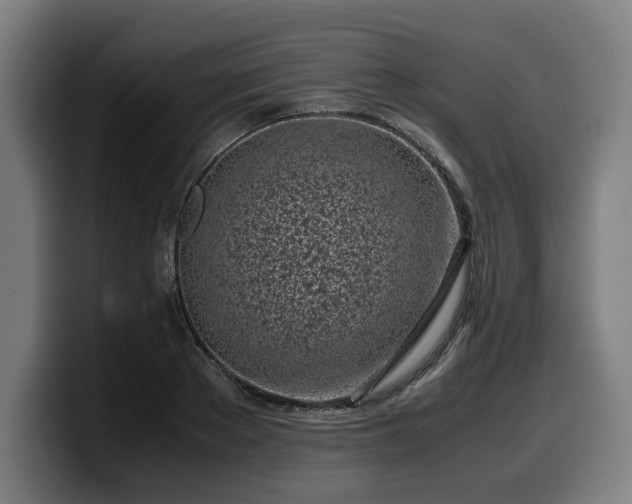 X0000099930889200805301156